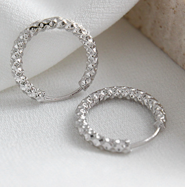Modern Circle 925 Sterling Silver Hoop Earrings